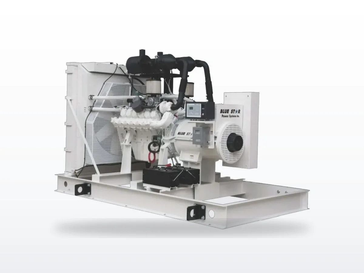 Blue Star Power Systems Blue Star NG500-02 500 kW liquid-cooled standby generator