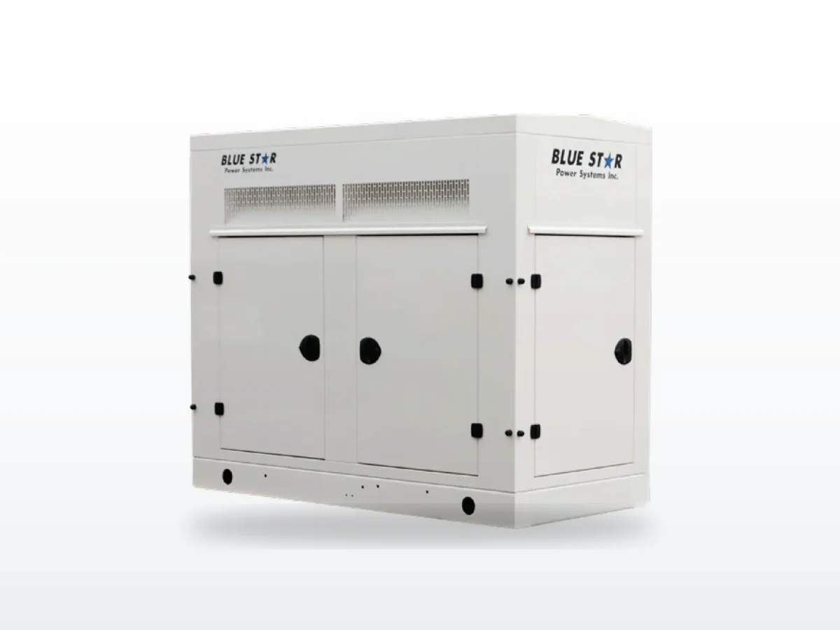Blue Star Power Systems Blue Star NG650-01P generator — specifications and details