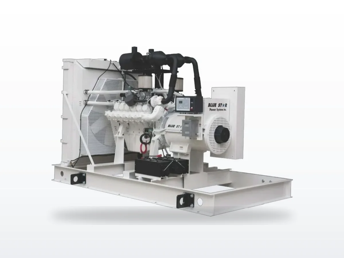Blue Star Power Systems Blue Star NG800-01 800 kW liquid-cooled standby generator
